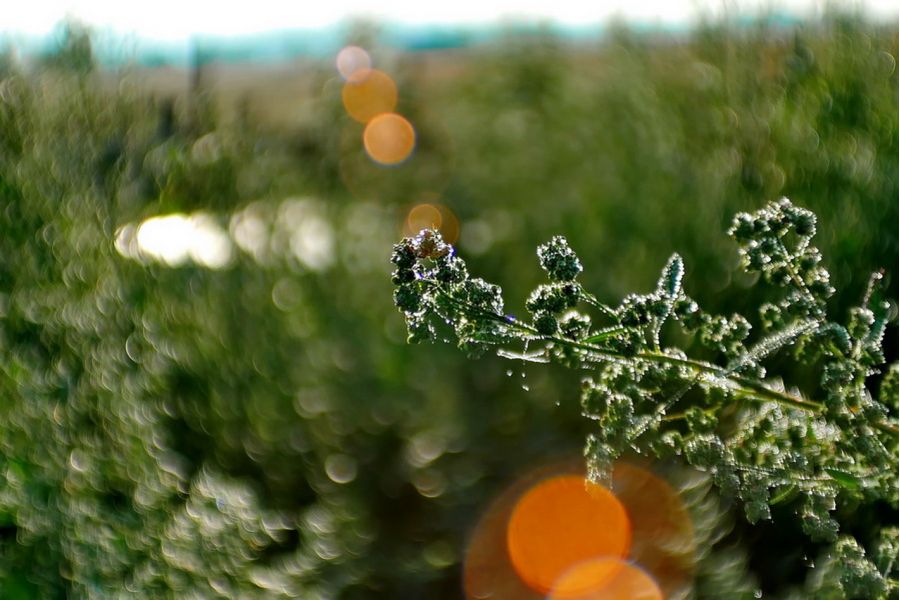 16 ОПФ1-2М-01 2,4/12-120mm (СССР,1980)