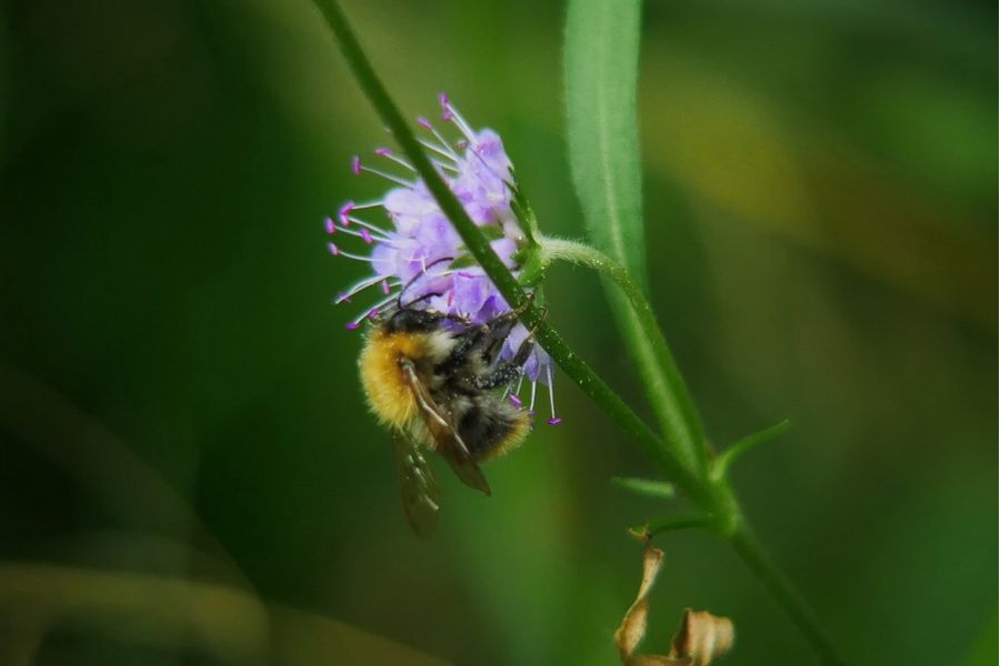 16 ОПФ1-2М-01 2,4/12-120mm (СССР,1980)