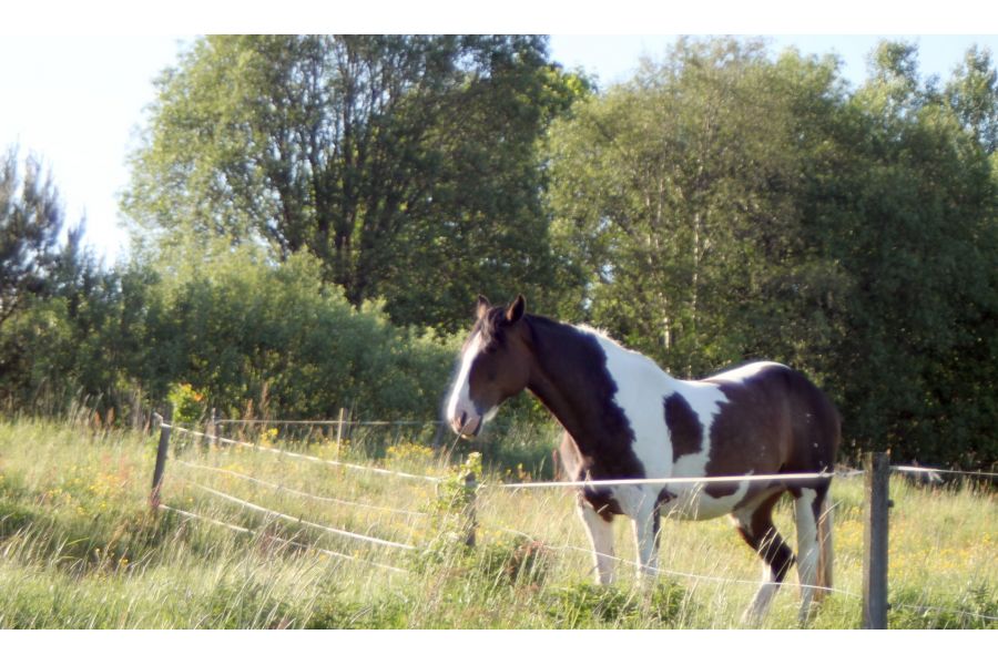 Pentax-A zoom 28-80mm f/3.5-4.5 (Japan, 1990)