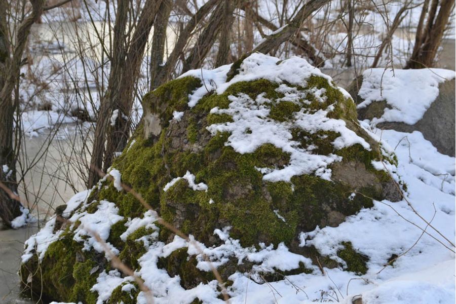 Takumar 1.4/50 SMC для Nikon lens