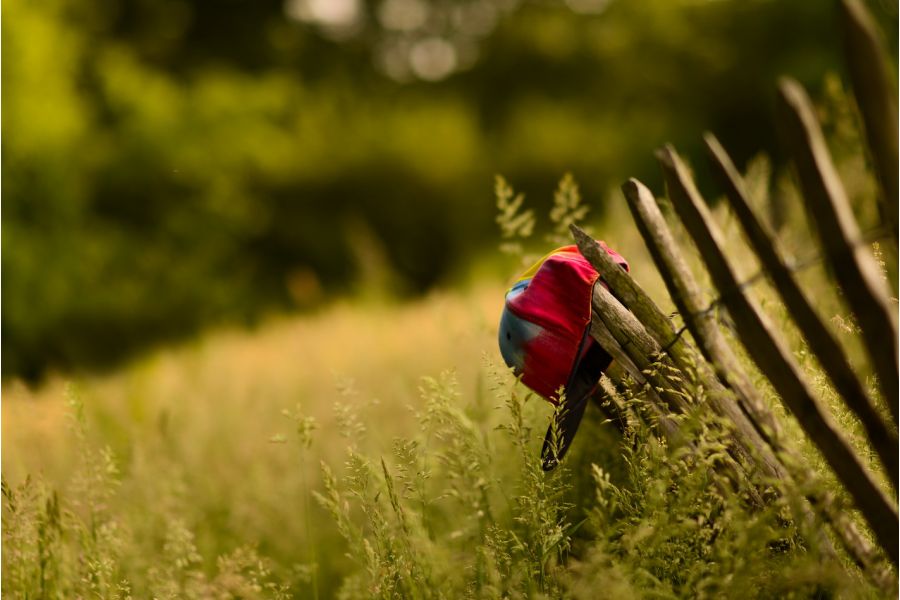 Samyang 85mm f/1.4 AS IF UMC Pentax K