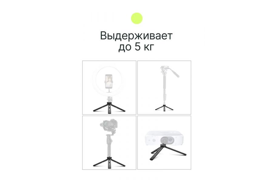 Штатив компактный RayLab MT-TM