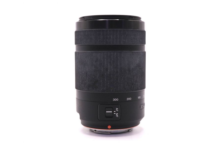 Sony DT 55-300mm f/4.5-5.6 (SAL-55300) (China, 2018)