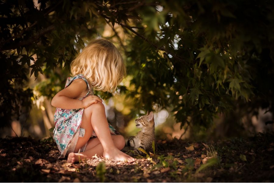 Fujifilm XF 56mm f/1.2 R в упаковке