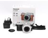 Panasonic Lumix DC-GX880 kit box