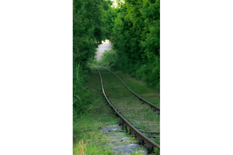 Olympus M.Zuiko Digital 40-150mm f/4-5.6 R в упаковке