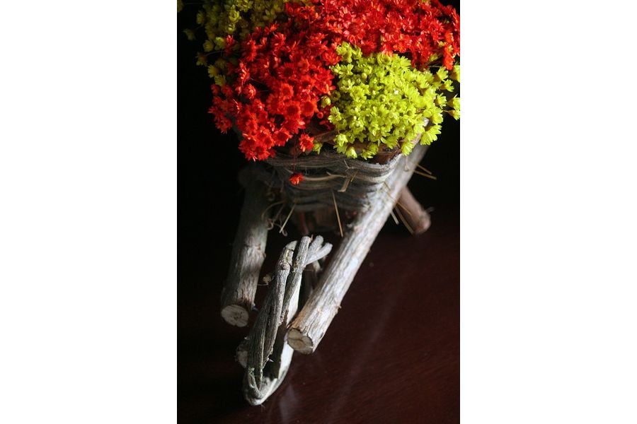 Canon EF 35-80mm 4-5.6 USM (Japan, 1992)