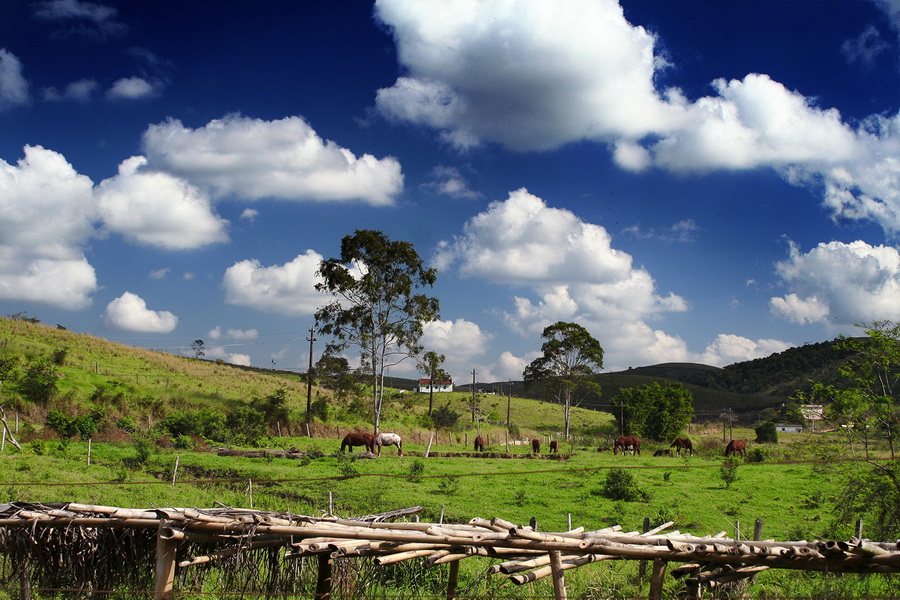 Canon EF 35-80mm 4-5.6 USM (Japan, 1992)