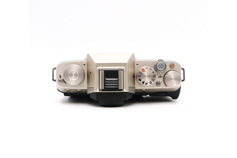 Fujifilm X-T100 body