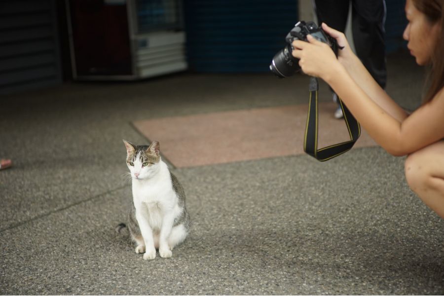 Voigtlander Color Heliar 75mm f/2,5 MC М39