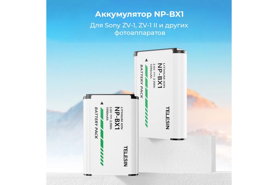 Аккумулятор Telesin NP-BX1