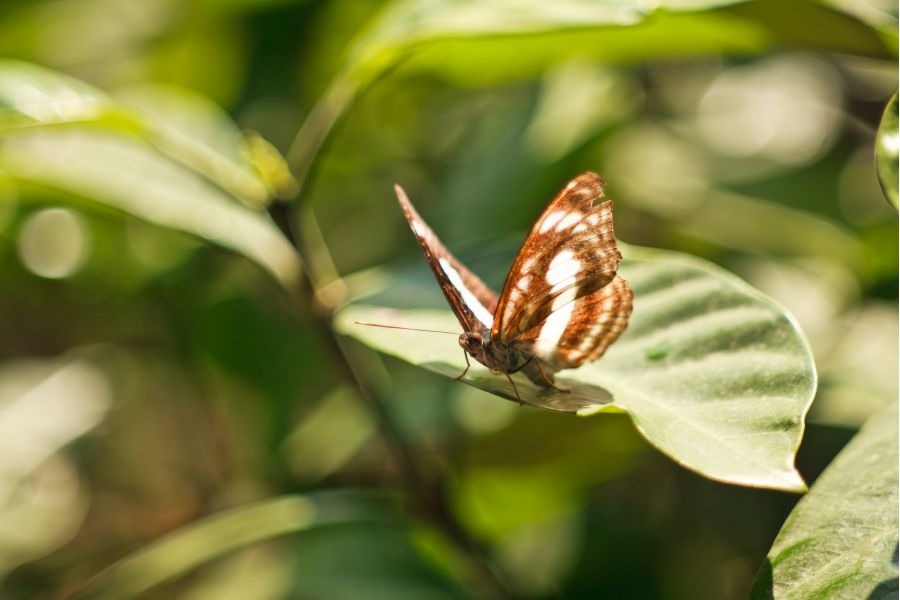 Heinz Kilfitt Munchen Kilar 3.5/150