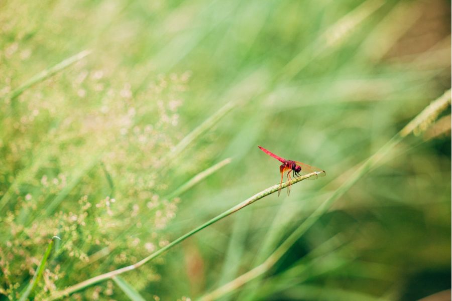 Heinz Kilfitt Munchen Kilar 3.5/150