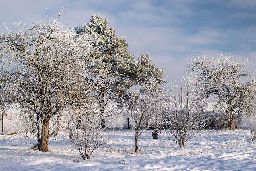 Cosina 28mm f/2.8 MC Japan