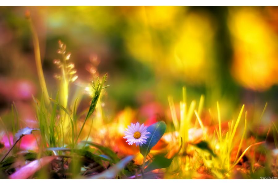 Юпитер-3 1.5/5см П silver М39 без геликоида