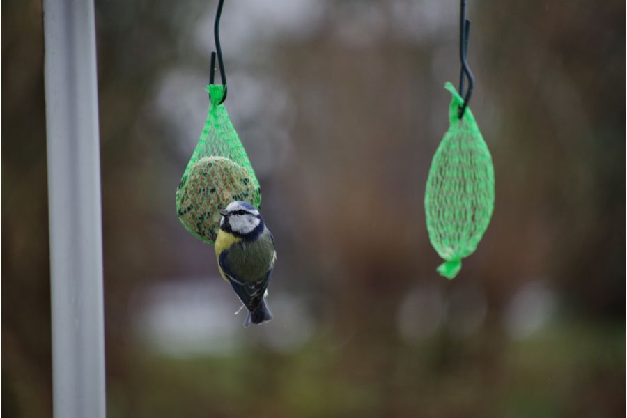 Pentax-FA SMC 70-200mm f/4-5.6