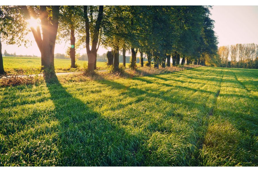 Vivitar auto wide-angle 2.5/28mm (Japan, 1975)