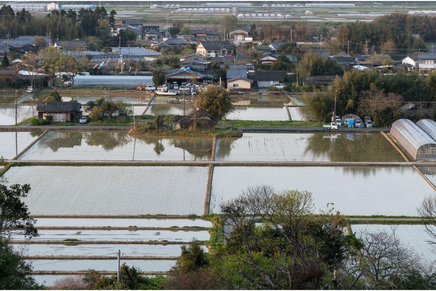 Sony FE 70-200mm F/4 G OSS