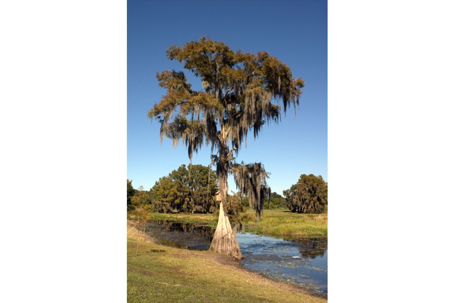 Osawa 28-50mm f/3.5-4.5 MC