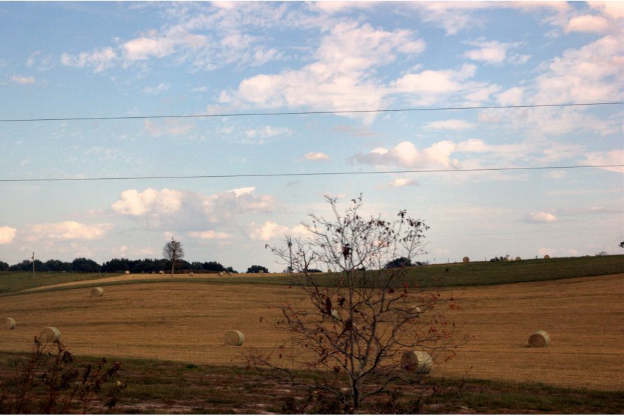 Osawa 28-50mm f/3.5-4.5 MC