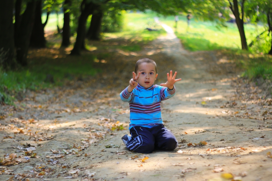 Pentacon auto MC 1.8/50 (Germany, 1974)