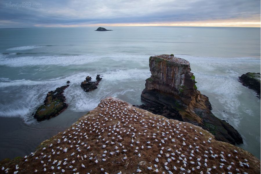 Samyang 12mm f/2.0 NCS CS E в упаковке