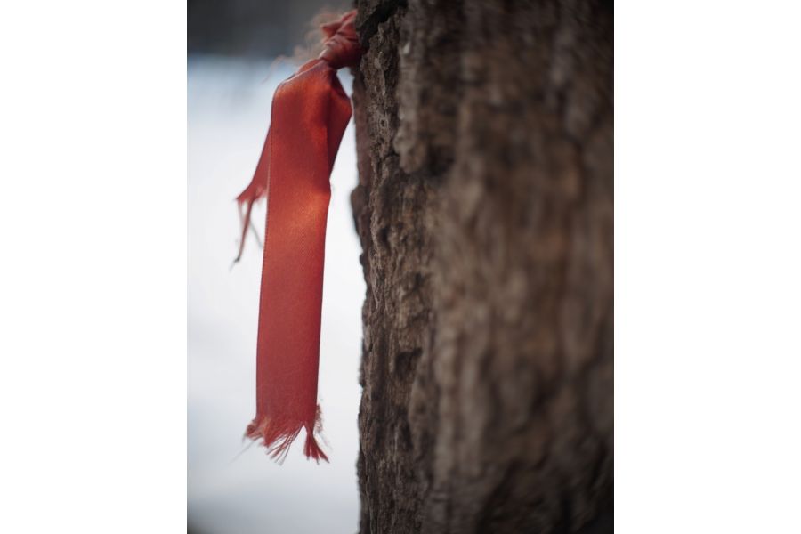 Biotar 2/25mm Carl Zeiss Jena