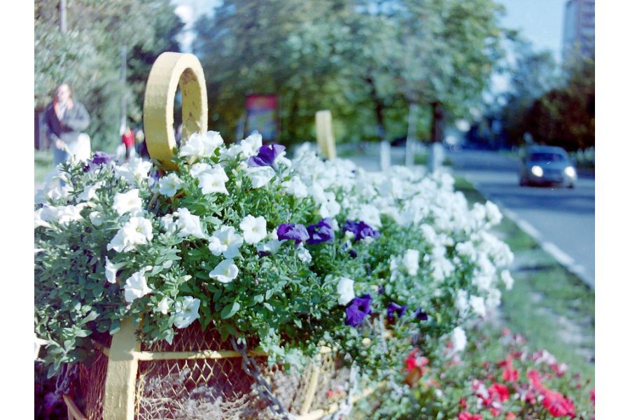 Porst Weitwinkel 3.5/35 