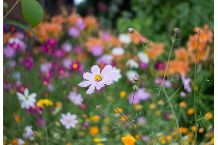 Триплет Т-43 4/40mm (ЛОМО)