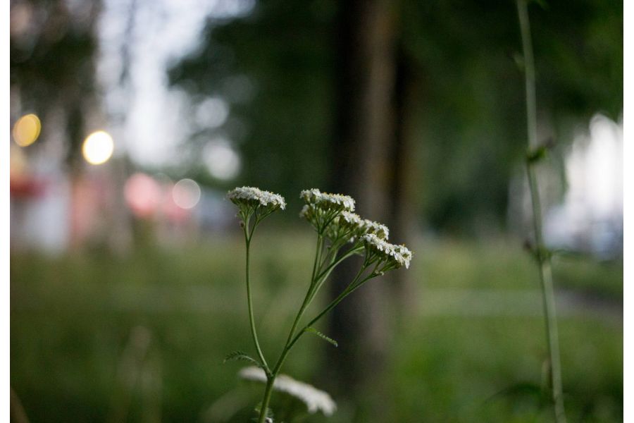 Триплет Т-43 4/40mm (ЛОМО)