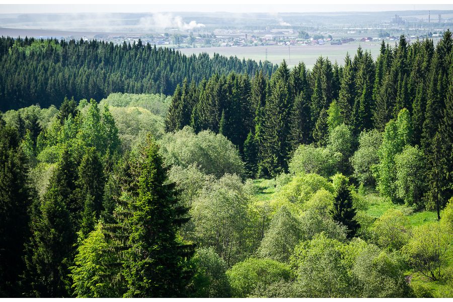 Sony Carl Zeiss Sonnar T*135mm f/1.8 ZA (SAL-135F18Z) в упаковке