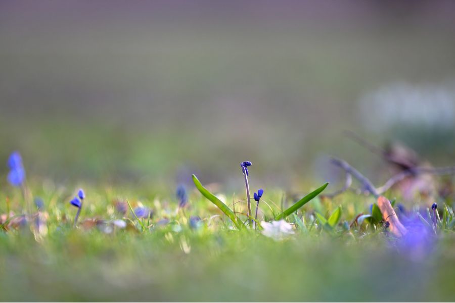 Sigma AF 120-300mm f/2.8 APO EX DG HSM Canon EF