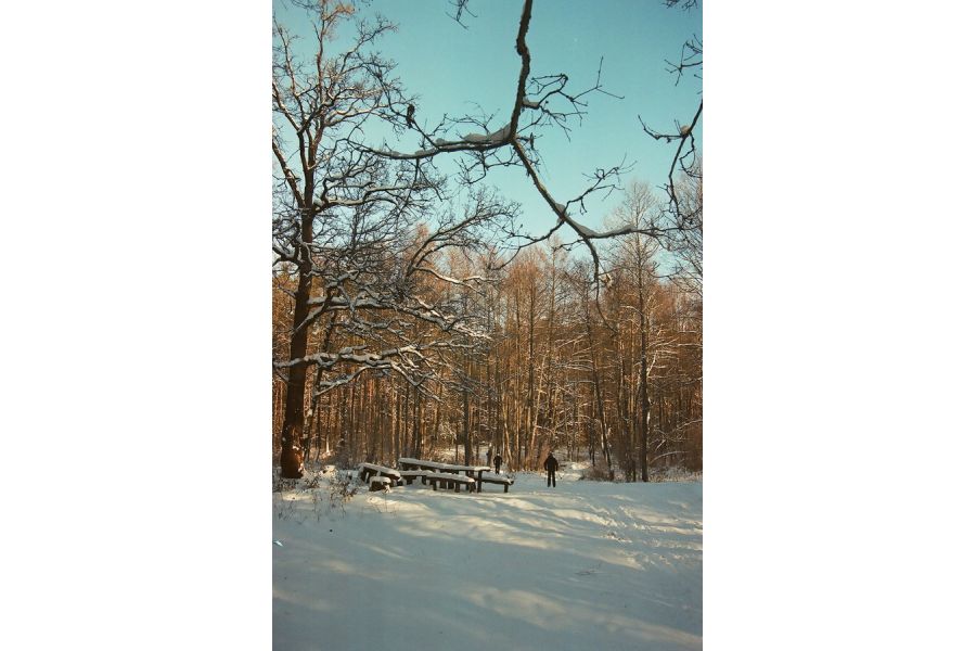 Vivitar 28-80mm f/3.5-5.6 MC Auto Focus Zoom Nikon F