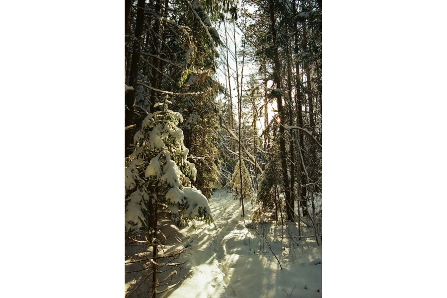 Vivitar 28-80mm f/3.5-5.6 MC Auto Focus Zoom Nikon F