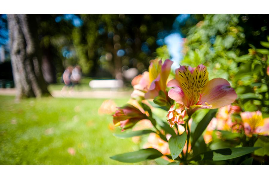 Spiratone 2.8/135 Tc М42 (Japan, 1986)