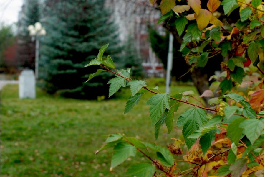 Мир-38Б 3,5/65 (СССР, 1990)