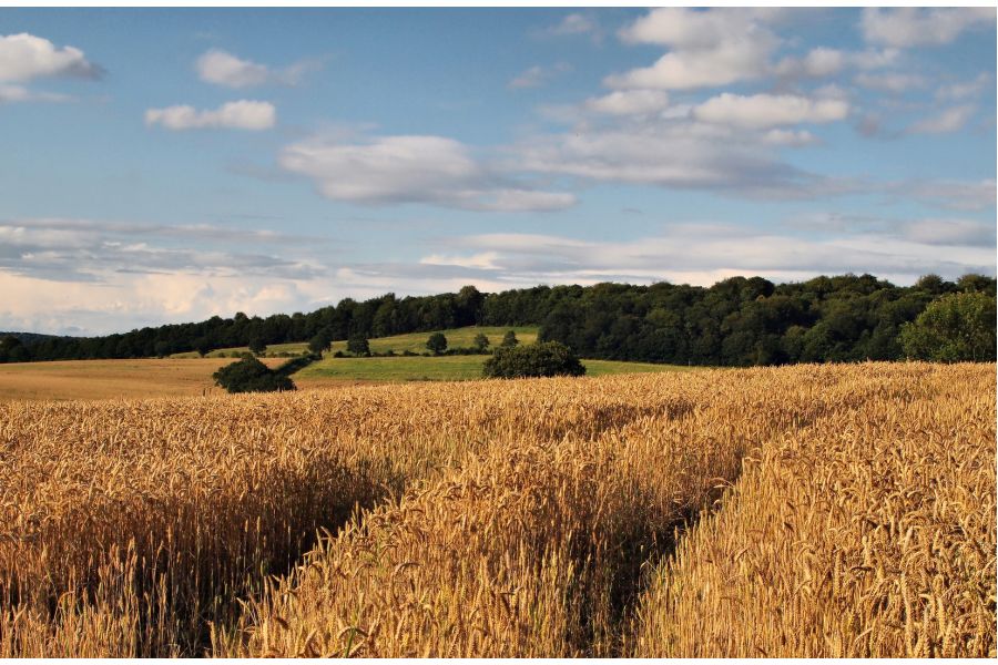Asahi SMC Takumar-Zoom 85-210 mm f/ 4.5