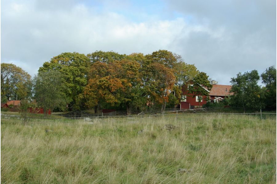 Asahi SMC Takumar-Zoom 85-210 mm f/ 4.5