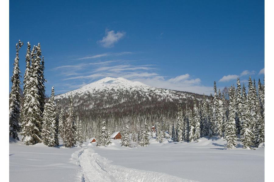 Sigma AF 24-70mm f/2.8 EX DG MACRO Canon EF