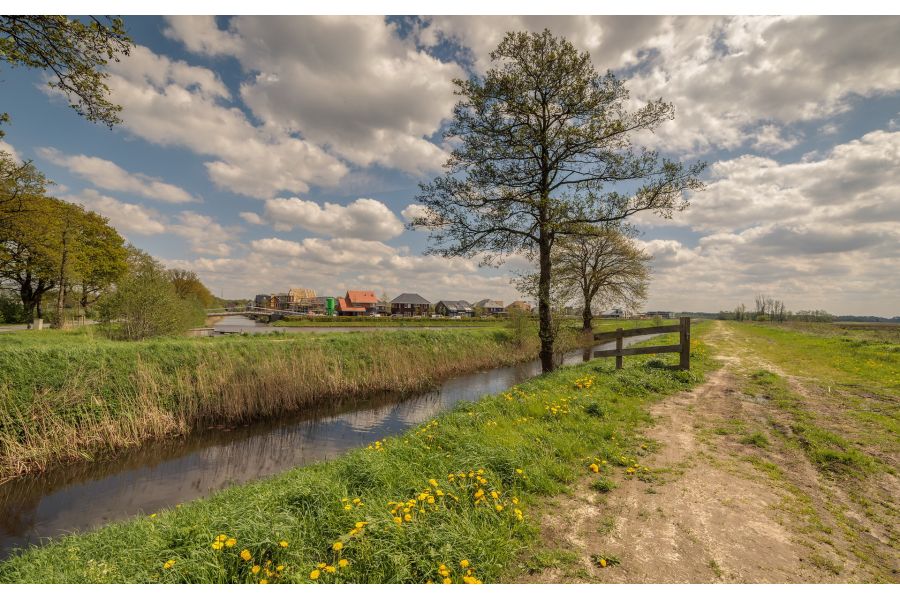 Samyang 14mm T3.1 ED AS IF UMC II