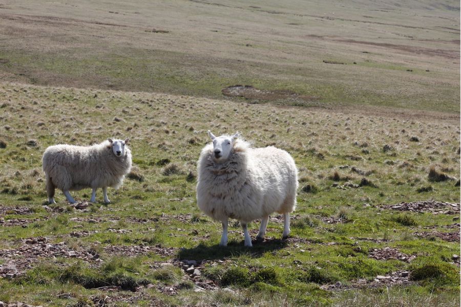 Canon EF 28-200mm f/3.5-5.6