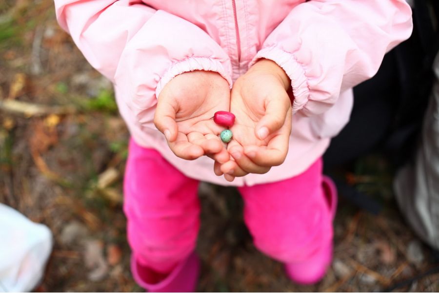 Flektogon 2,8/12,5 Carl Zeiss Jena (Germany)