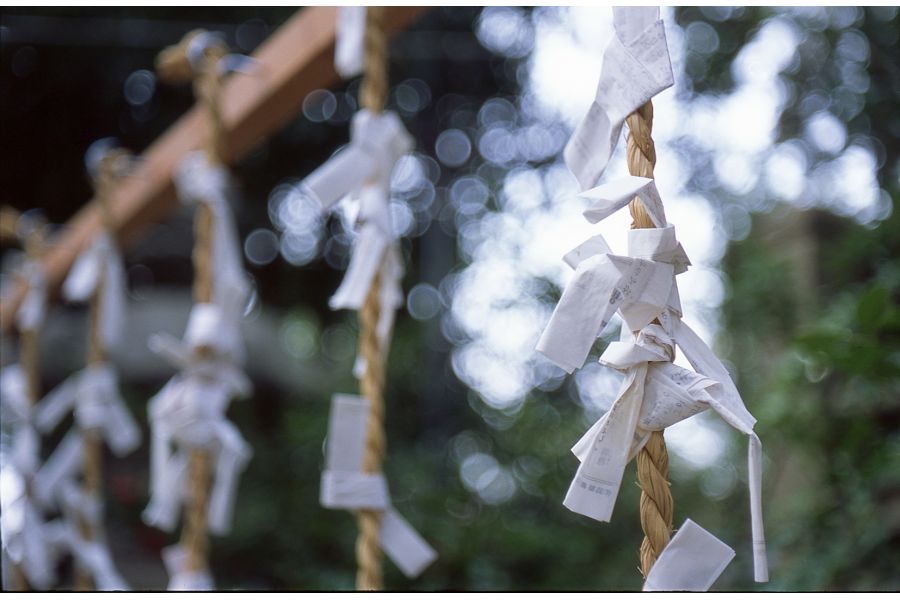 Tessar 2.8/45 T* Carl Zeiss