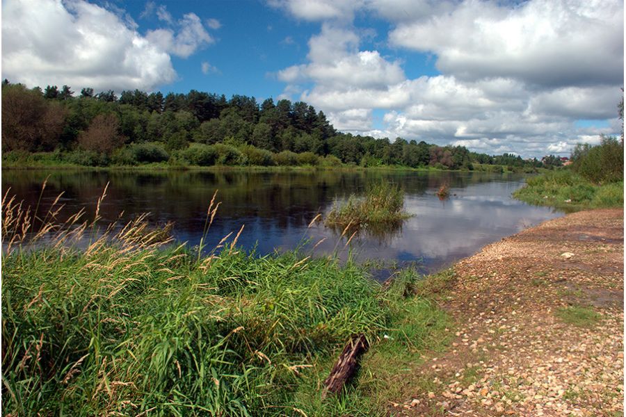 Nikon 18-135mm f/3.5-5.6G ED-IF AF-S DX Zoom-Nikkor (Thailand)