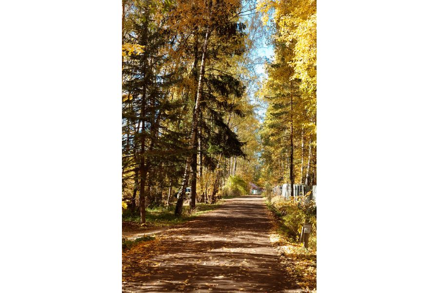 Leica Noctilux-M 0.95/50 ASPH. 