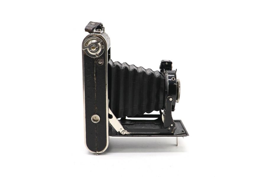 Beier Gloria (Germany)