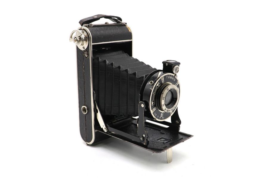 Beier Gloria (Germany)