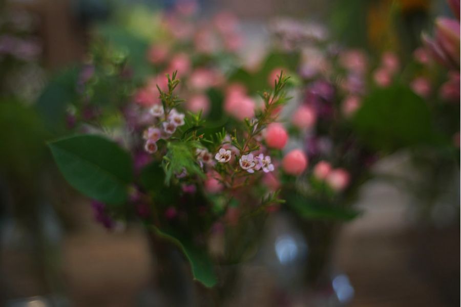 Mamiya - Sekor Z 50mm f/4.5 W