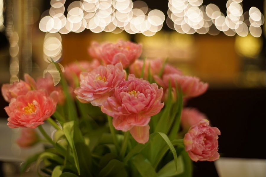 Mamiya - Sekor Z 50mm f/4.5 W