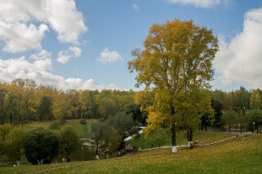 Canon EF 35-135mm f/4-5.6 Ultrasonic